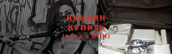шишки Пролетарск