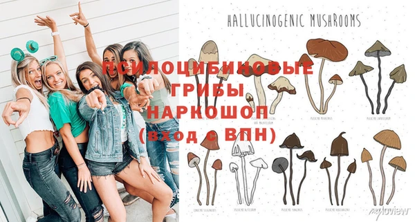 apvp Балабаново