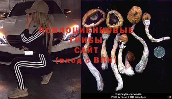 молекула духа Балахна