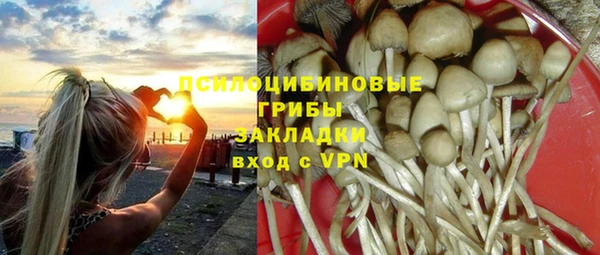 молекула духа Балахна