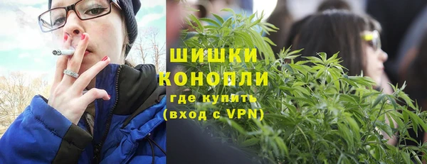 молекула духа Балахна